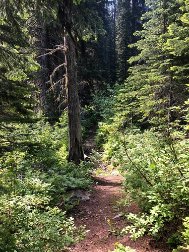 lolonationalforest trails montana scenic forestservice northernregionforestservice