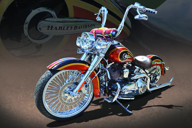 Live to Ride - Softtail Harley Deluxe