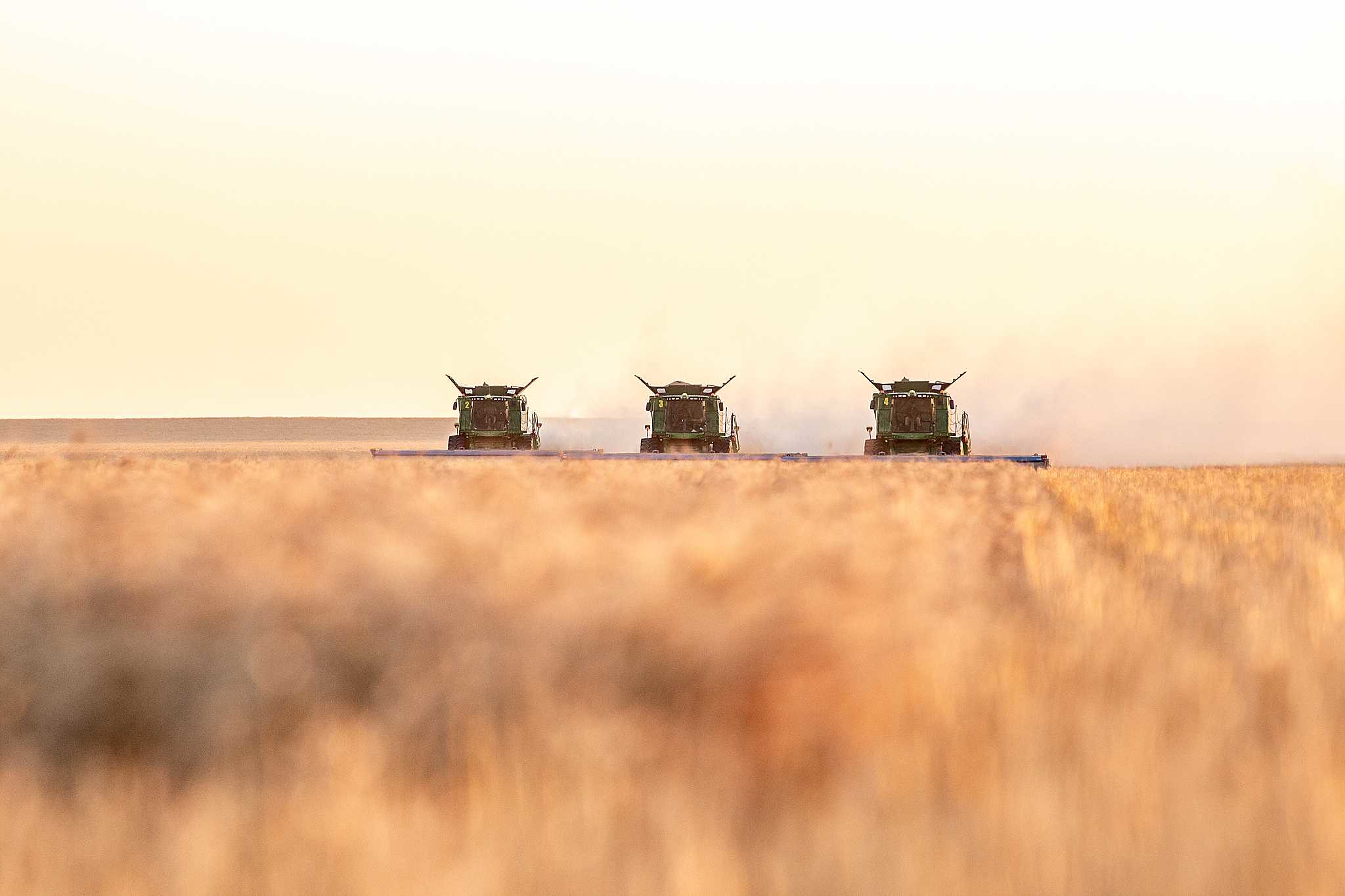 High Plains Harvesting 2019