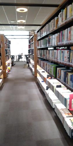 도서관 산책길 | 세종국립도서관