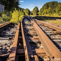 Old Railroad Track