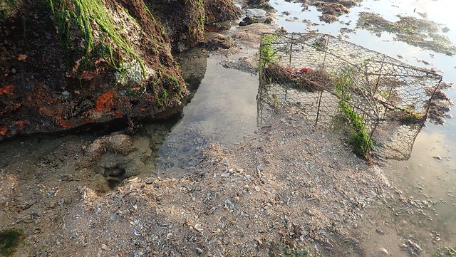 Fish trap on Pulau Sekudu