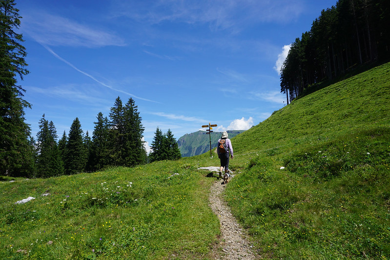 Hiking the Alps: Trümmelbach – Wengernalp – Kleine Scheidegg ...