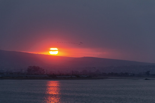 lake lago zumpango aves sun sol birds laguna agua water red rojo estadodemexico mexico sunset atardecer