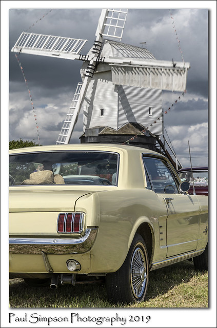 Mustang and Windmill