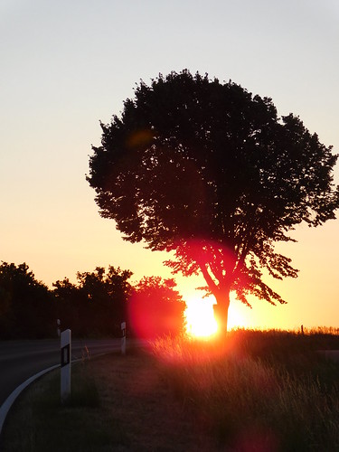 Sonne & Baum by elisabeth.mcghee, sonnenuntergang sunset oberpfalz upper palatinate sonnenstrahlen himmel sky sonne sun baum