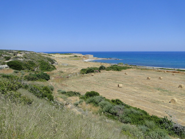 North coast of Karpas. VCyprus