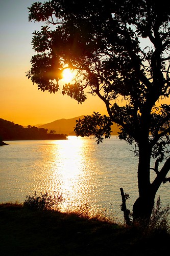 chinacamp sunset silhouette manzanitatree bay water