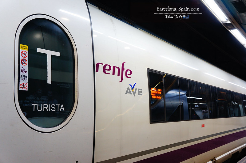 2018 Spain Barcelona Sants Train Station 1