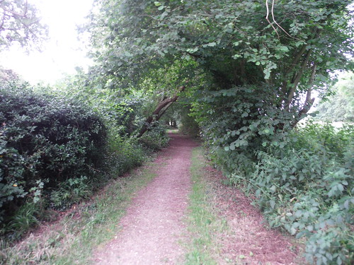 Enclosed Path, Green Tye SWC Walk 210 - Sawbridgeworth to Bishop's Stortfort (via Henry Moore Foundation)