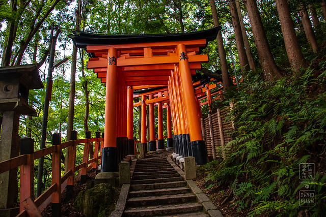 Fushimi Inari Trail