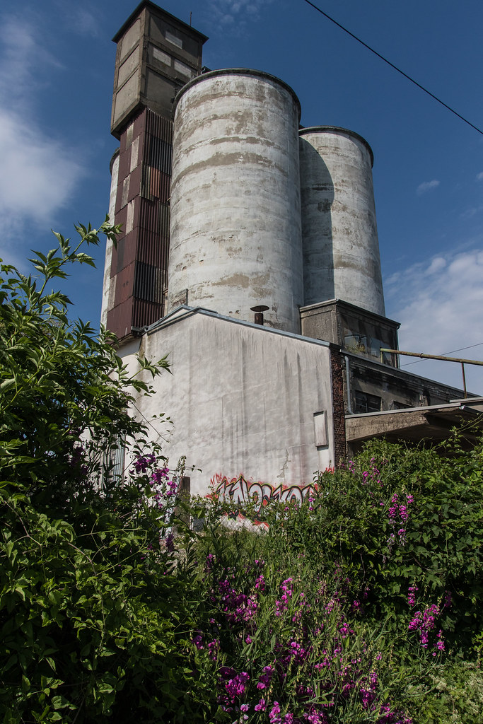 abandoned cement factory | stillgelegte Zementfabrik Anna au… | Flickr