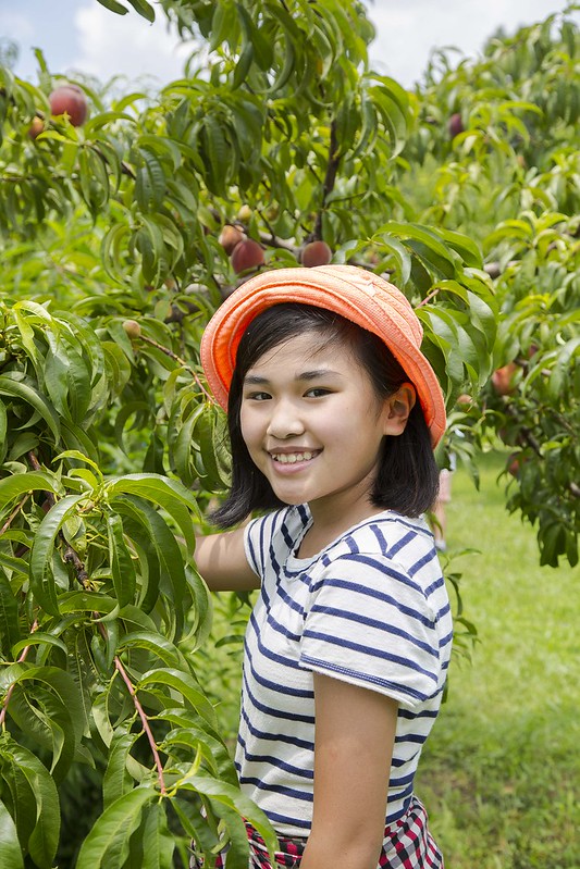 Children and Family Portraits, Peach Picking, Photo by Tuyen Chau