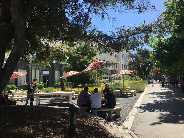 Facebook campus, park-like