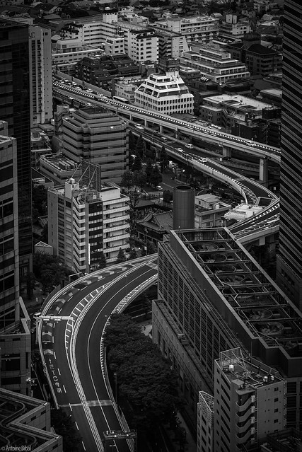 Shinjuku's Highway