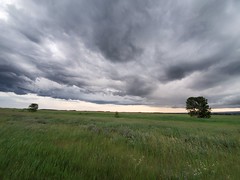 Prairie Thunder Clouds