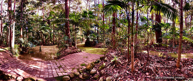 Dragons Walk Crossing - Raintrees Native and Rainforest Gardens, Diamond Beach, NSW