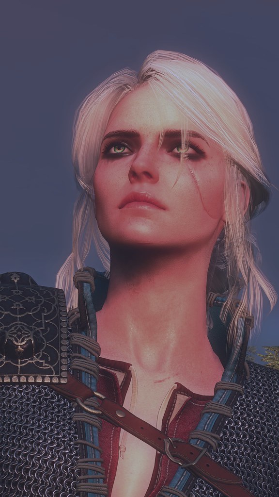 Gray-Haired destiny [ Close Up] | The Witcher 3: Wild Hunt N… | Flickr