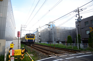Specially Painted Tokyu 1000 Series Train “Ki ni Naru Densha” on Tokyu Tamagawa Line near Shimo-maruko Station 5