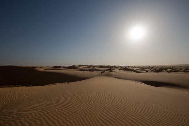 Dans le désert de Mauritanie