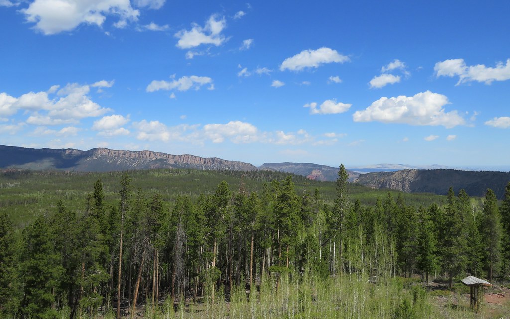 From the Ute Mountain Fire Tower