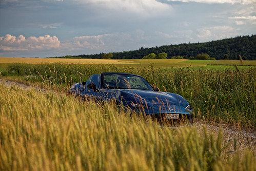 Sunset Drive by CoreForce,