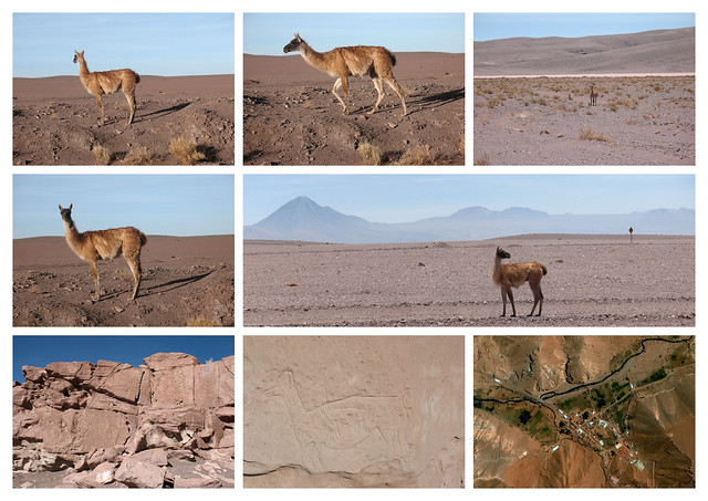 CHILE 2010-2011. San Pedro de Atacama / VALLE del ARCO IRIS – RIO GRANDE