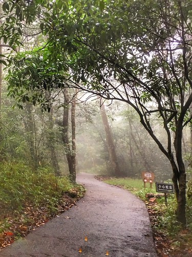 Mangshan national park 莽山国家森林公园、湖南 | by cattan2011
