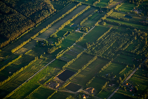 peaceonearthorg aerial