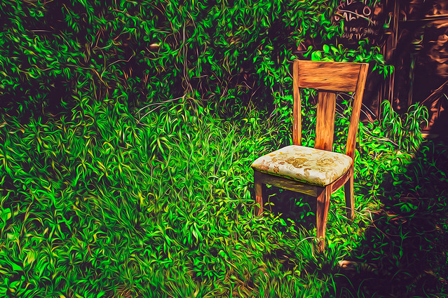 Chair in the Wilderness