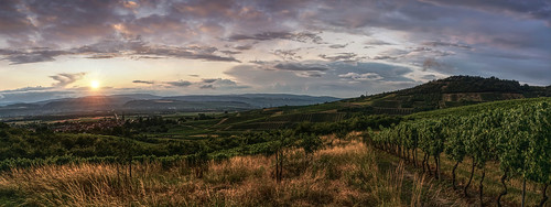summer vineyards sunset evening clouds parchmankid sony a6000 gensingen bingen rheinlandpfalz jerryburchfield burchfield landscape ilce6500