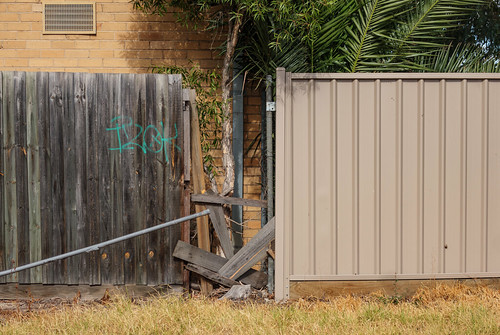 fence fencing woodenfence steelfence date datetree palmtree wall brickwall shadows sunshine melbourne victoria australia auspctaggedpc3020 pc3020 sunshinepc3020 formalism lineshapetexture bush bushs bushes graf grafitti canon canong9xmkii urbanlandscape