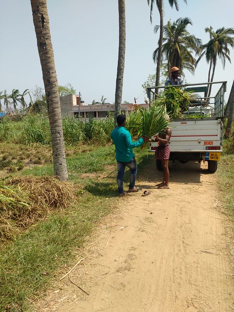 Fani cyclone in Odisha State, India, May 2019