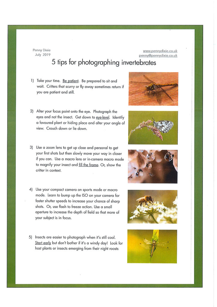 Royal Parks 'Mission Invertebrate Project' - 'Macro Photog… | Flickr