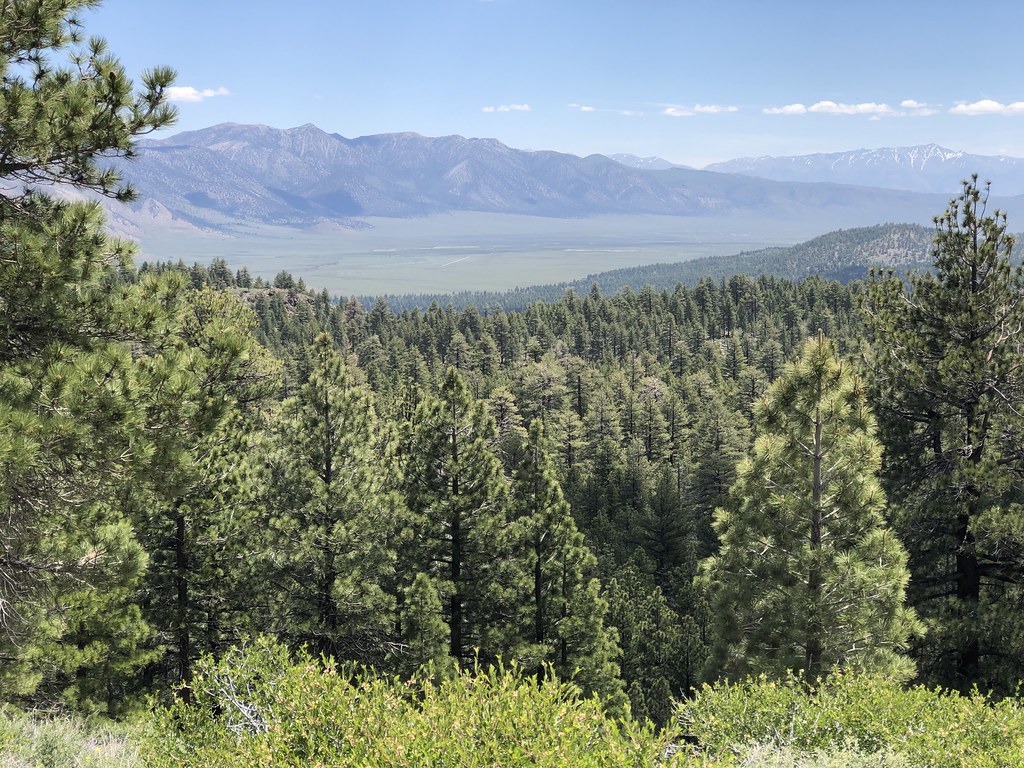 L-LOOKOUT LOOP SM