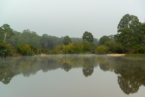 australia nsw oallenfordrd oallenroad shoalhavenford shoalhavenriver water earlymorning inland mirror mist reflection still upperreachesshoalhavenriver