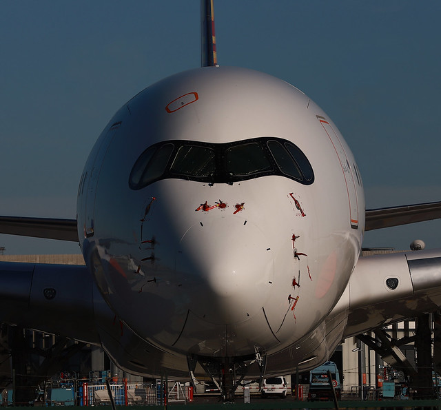 Face to face with Airbus A350