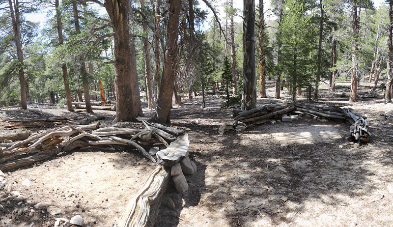 We found a secluded campsite in the Lodgepole Campground not far from the spring