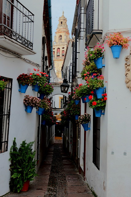 Imprescindibles de Córdoba