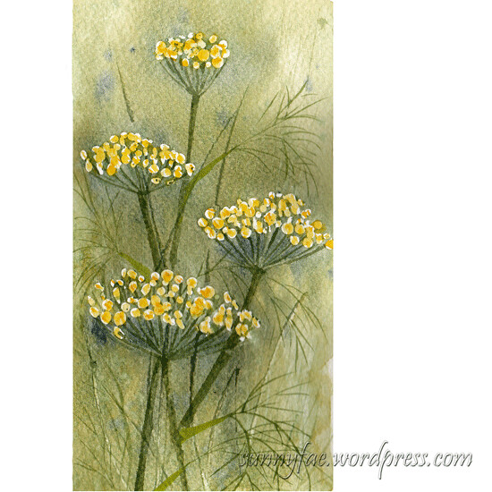 watercolour painting of fennel