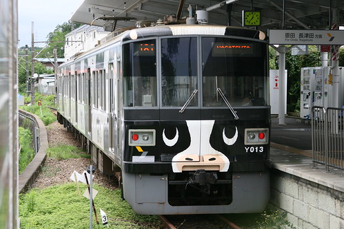 Yokohama Minatomirai Railway Y000 series(Cow train) in Kodomo-no-kuni.Sta, Yokohama, Kanagawa, Japan /Jul 15, 2019