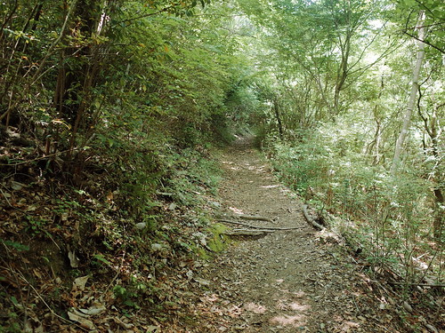 熊野古道 中邊路 日本 japan 田邊 和歌山 kumanokodo 滝尻王子 高原熊野神社