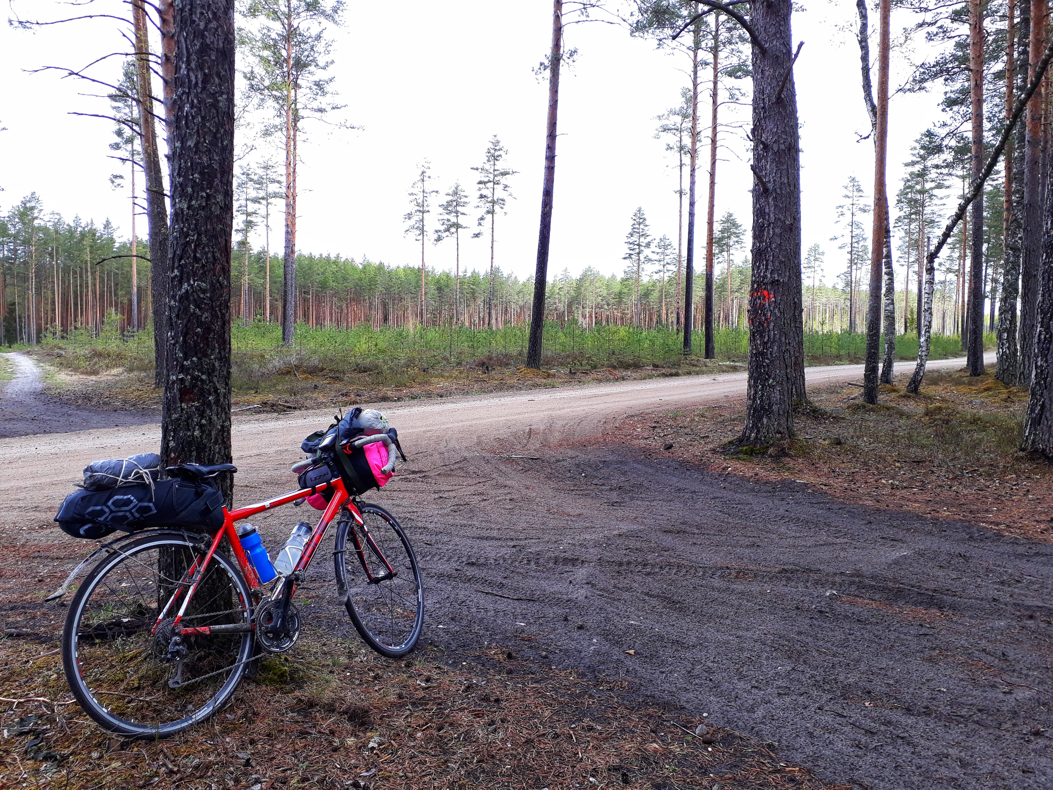 Слабоумие и отвага. Велопоход по Эстонии, 380 км, 2-4 мая 2019 года.