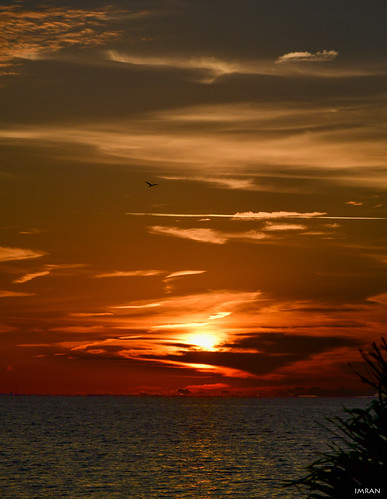 sunset beach nature seaside nikon imran osprey d850 water clouds tampabay florida lifestyle prose apollobeach imrananwar