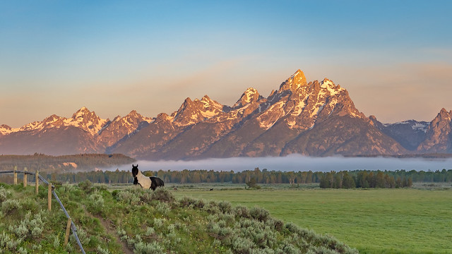 morning in the Tetons