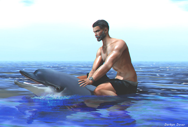 Swim with Dofins