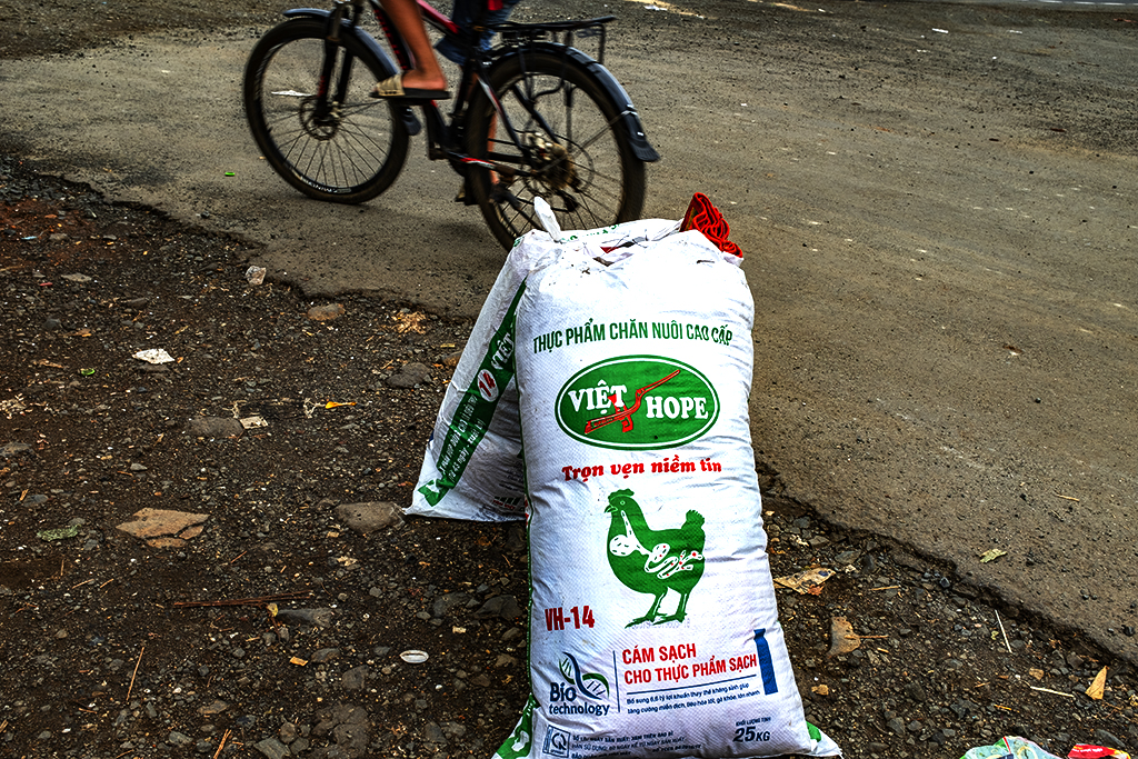 VIET HOPE chicken feed--Ea Kly