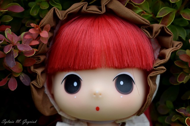 A Close-Up Portrait of a Ddung As a Cute Doll :P