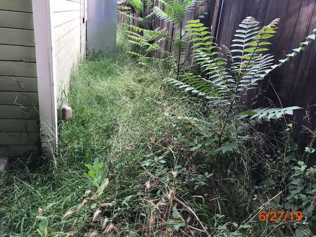 grass cuts property preservation pasadena ca