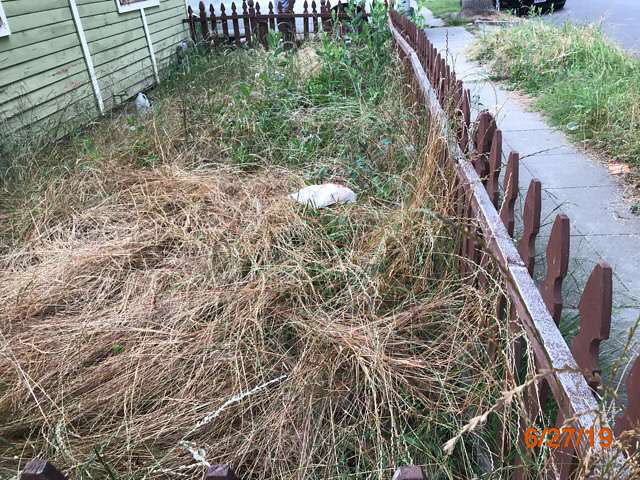 abandoned foreclosure grass cuts pasadena ca